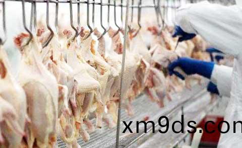 timg-(6).jpg timg-(6).jpg