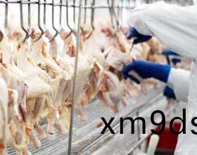 工人工作(zuo)流程(cheng)