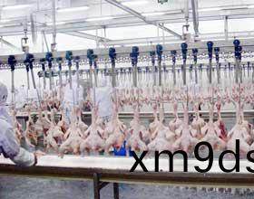 自動(dong)化(hua)設(she)備(bei)