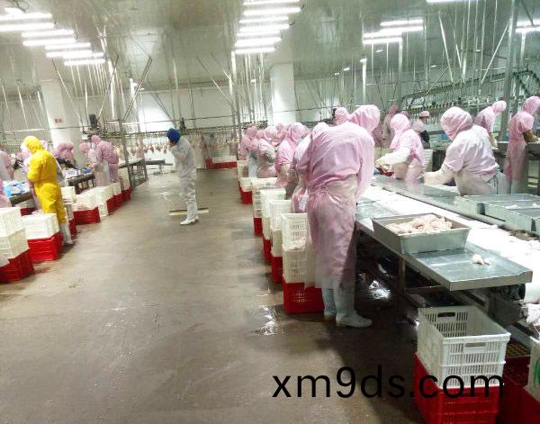 産(chan)品(pin)分(fen)揀