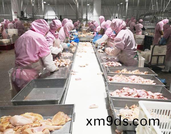 産(chan)品分(fen)揀(jian)