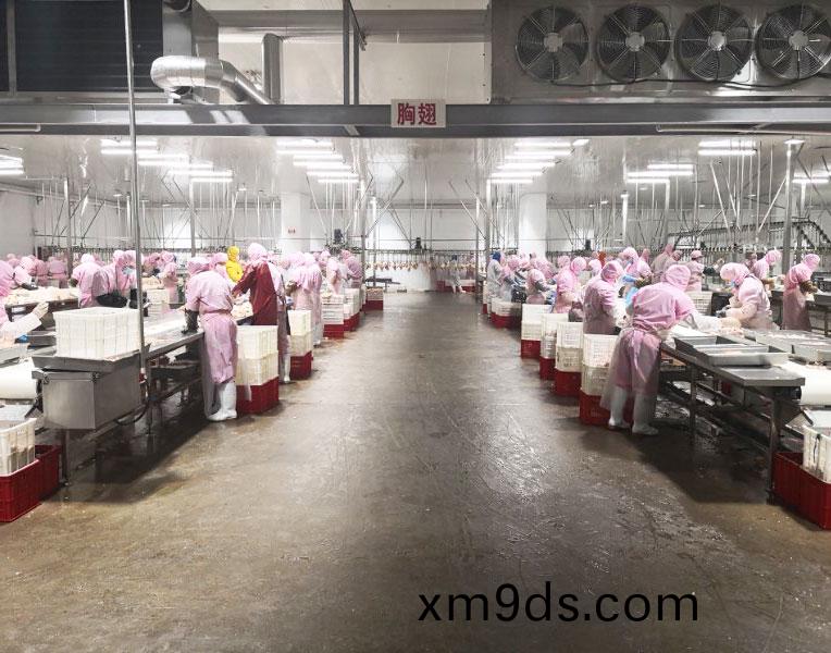 胷(xiong)翅(chi)車間(jian)